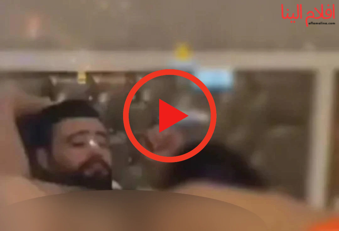 فضيحة مجد جراد